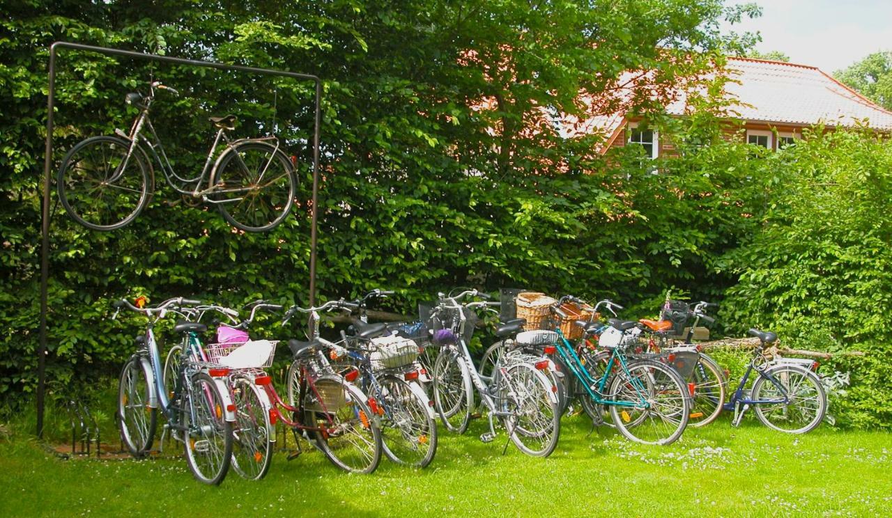 Privatzimmer Alte Schule Suderburg エクステリア 写真