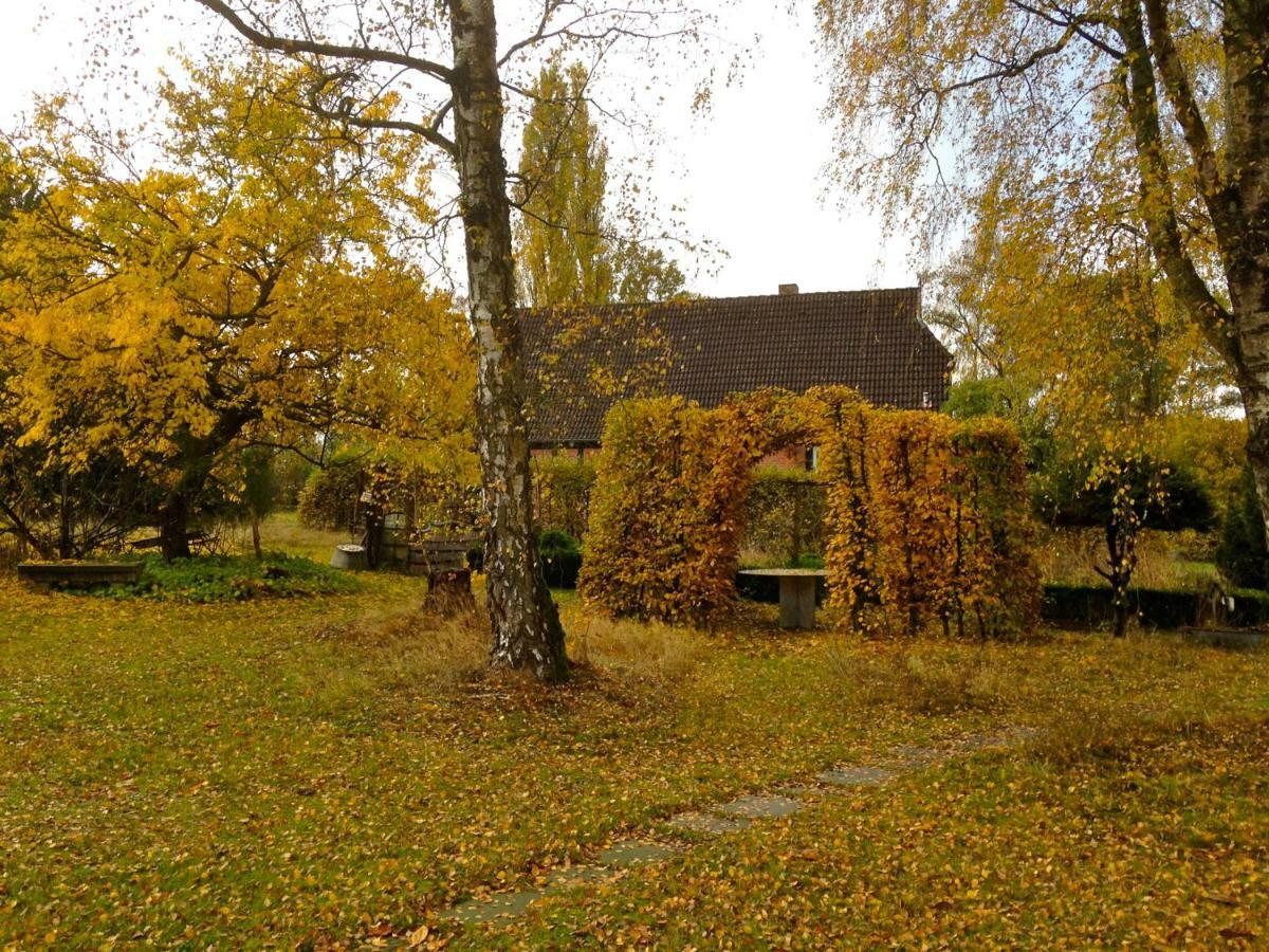 Privatzimmer Alte Schule Suderburg エクステリア 写真